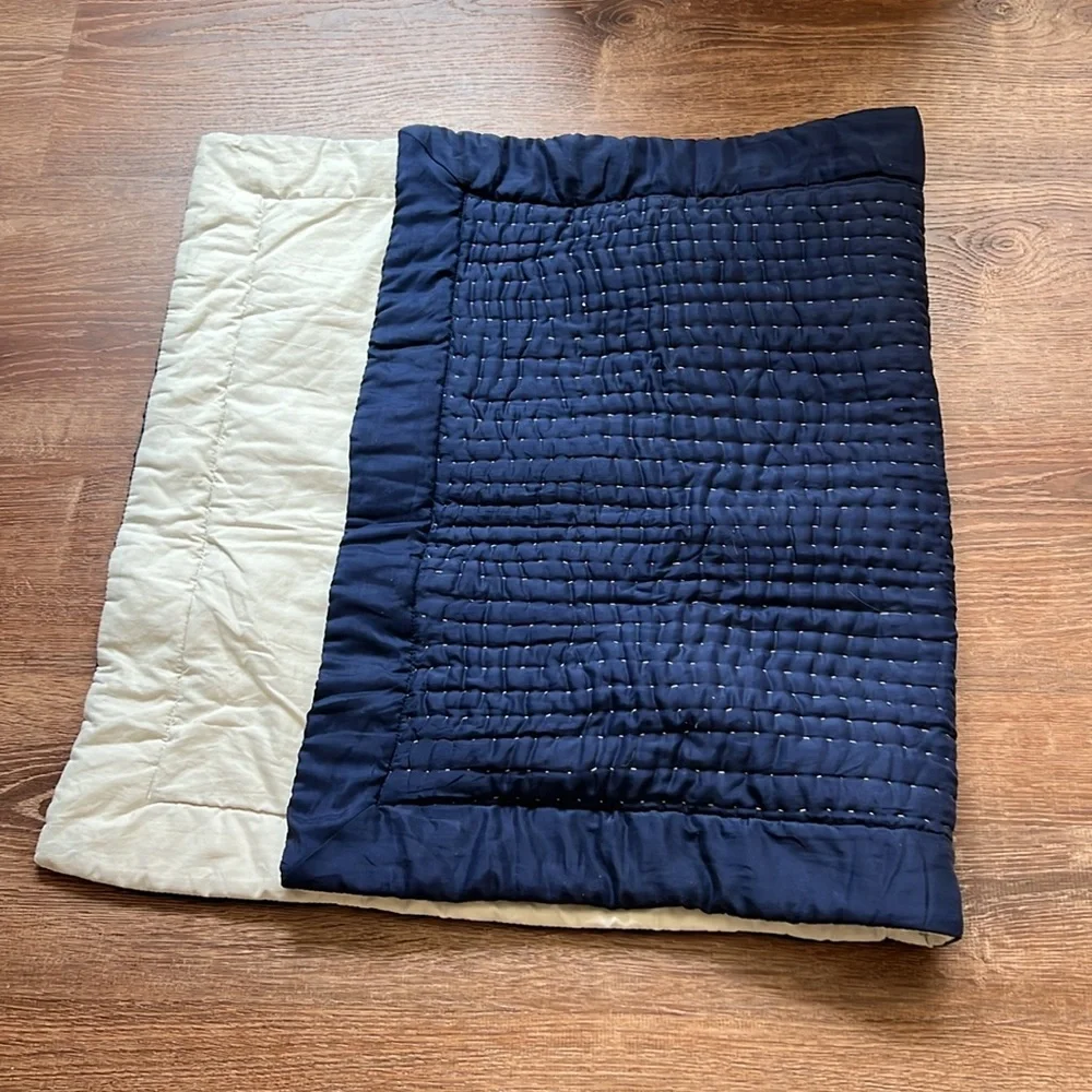 Crate & Barrel 20/38 king sized duvet